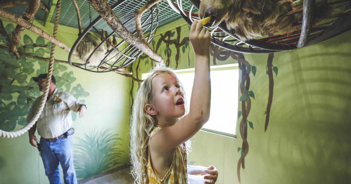 Experience Branson's Promised Land Zoo Explore Branson